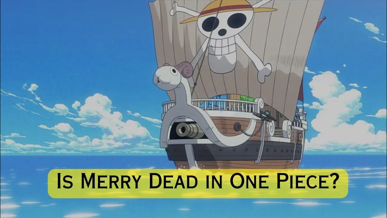 Is Merry Dead in One Piece
