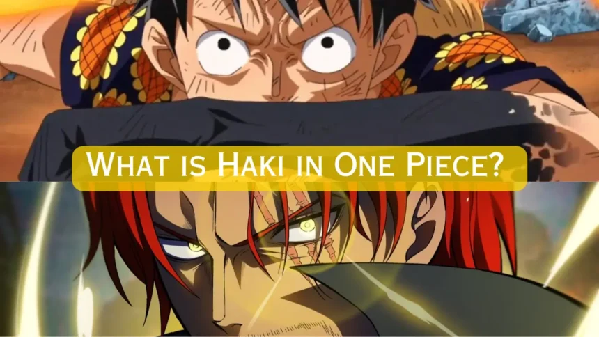 What is Haki in One Piece? [Explained]